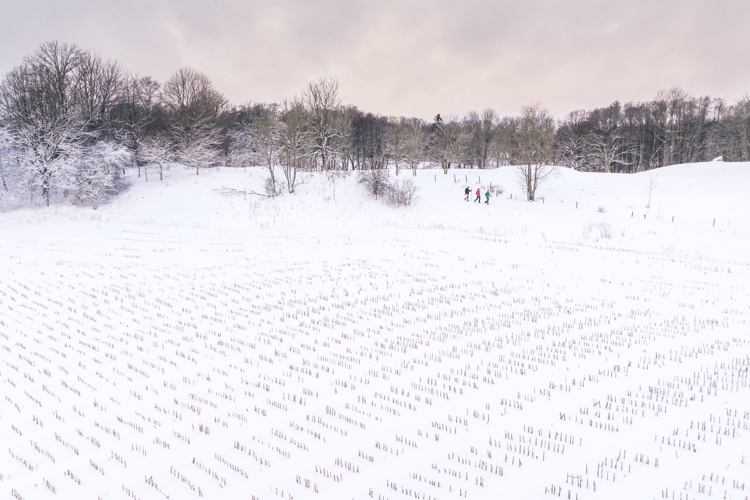 vintervandring, vandring, vandra, skåne