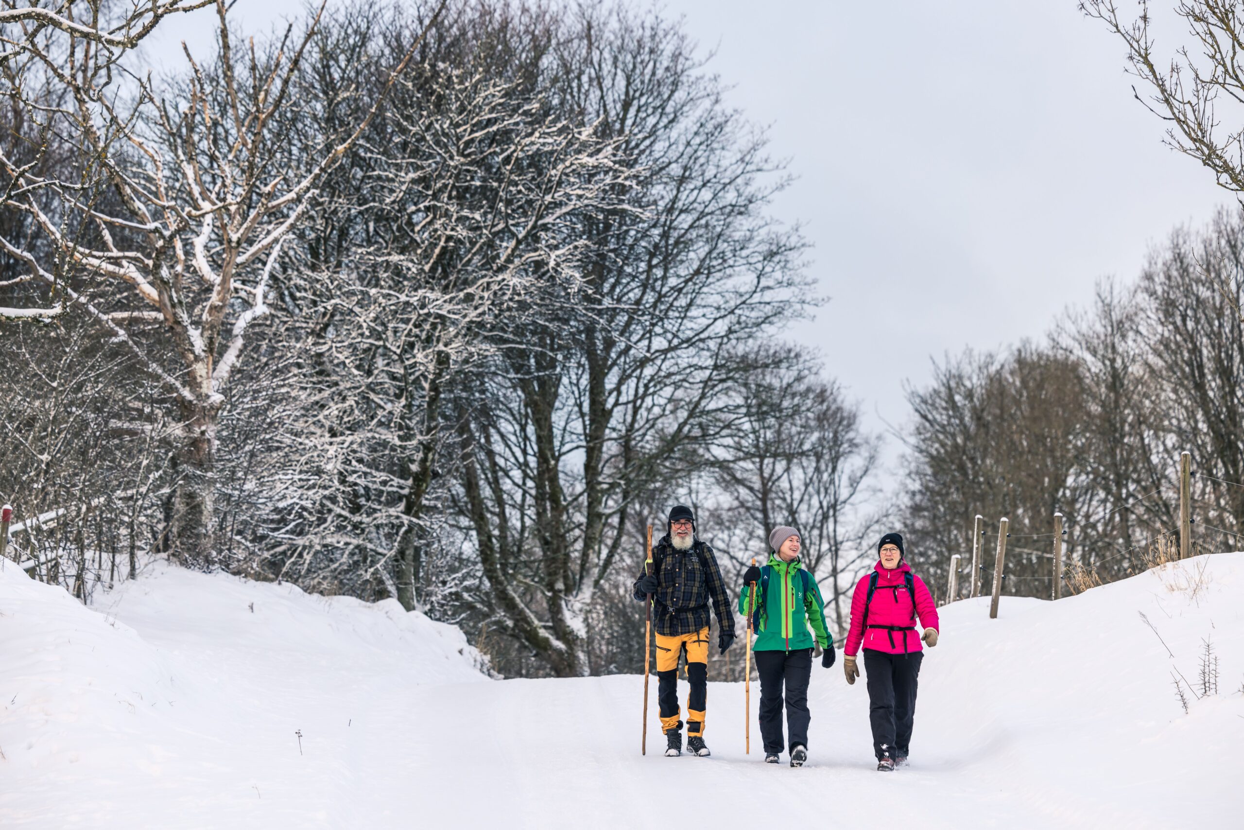 vintervandring, vandra, vandra i vinter, skåne