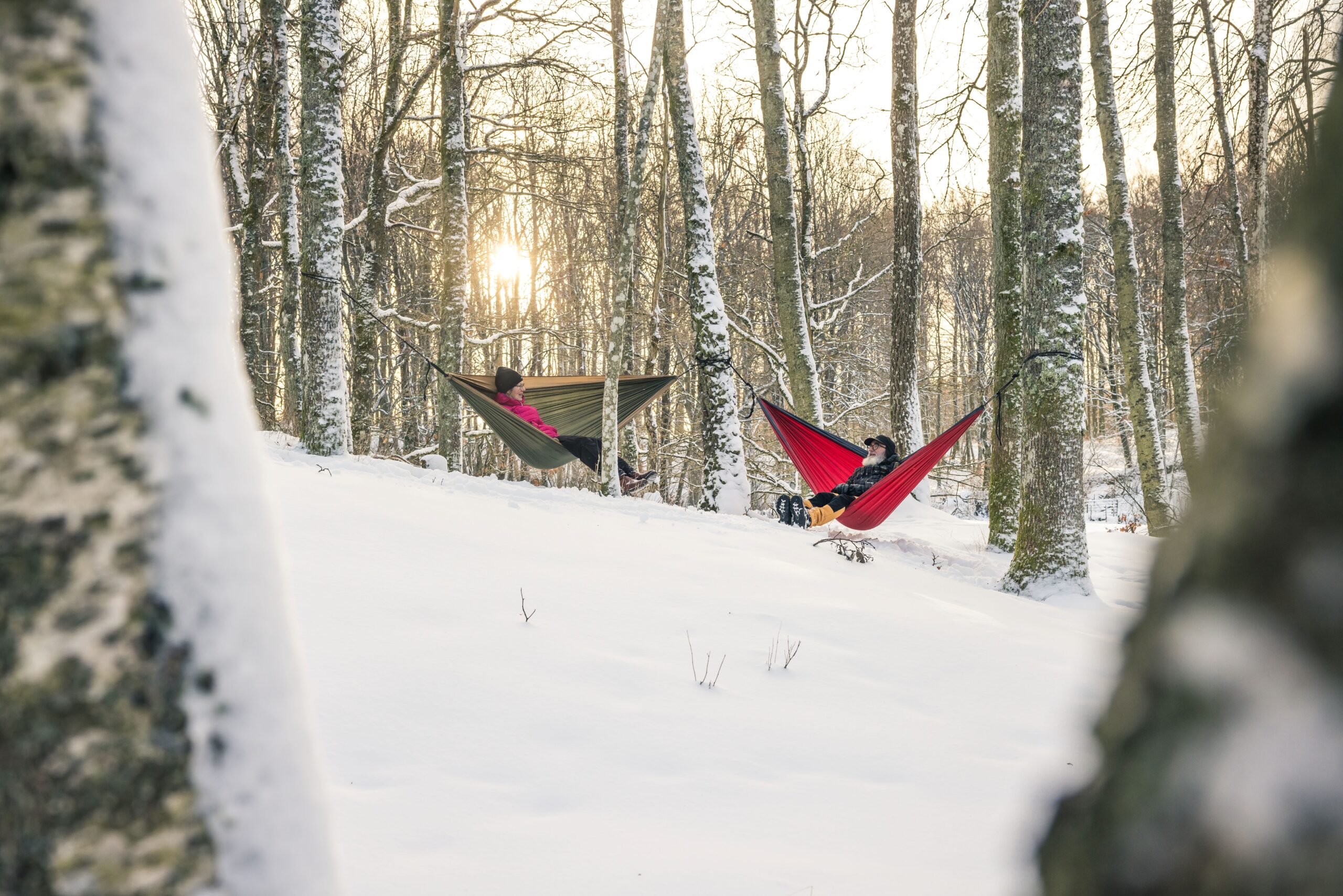 Två personer hänger i hängmatta i bokskogen, det är vinter.