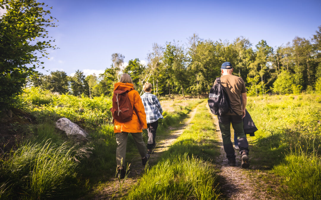 grupp vandrar i skogen