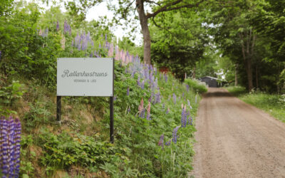 Rallarhustruns Veranda & Logi – hotell mitt i skogen